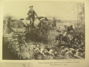 Washington - Fox Hunter